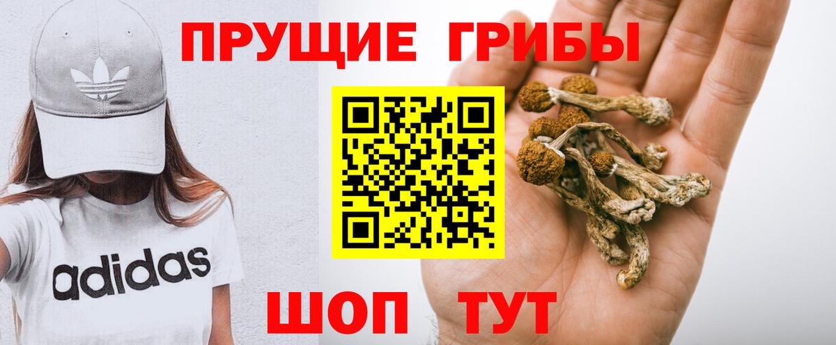 Псилоцибиновые грибы Cubensis  Псилоцибиновые грибы GOLDEN TEACHER  Йошкар-Ола  Вход с VPN 