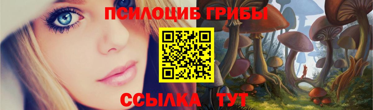 Галлюциногенные грибы мицелий Йошкар-Ола